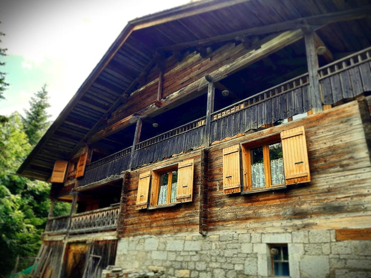 Lachat Appartement En Chalet Typique ル・グラン・ボルナン エクステリア 写真
