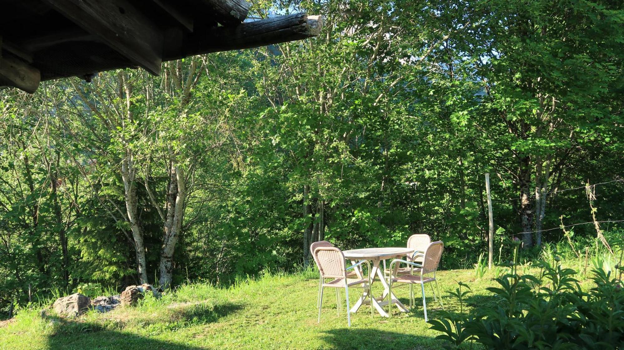 Lachat Appartement En Chalet Typique ル・グラン・ボルナン エクステリア 写真